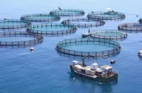 BUREAU D'ETUDE EN AQUACULTURE