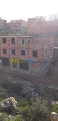 tlemcen-algeria-carcass-sell