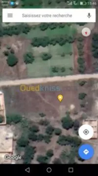 Vente Terrain Blida Bougara