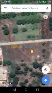blida-bougara-algerie-terrain-vente