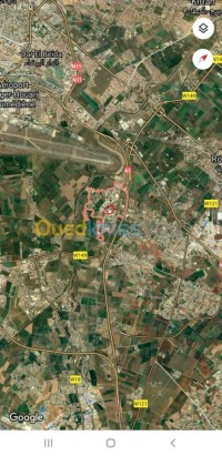 بومرداس-حمادي-الجزائر-أرض-byaa-ard-bomrdas-hmady