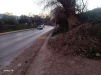 تلمسان-شتوان-الجزائر-أرض-byaa-ard-tlmsan-shtoan