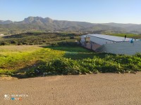 بومرداس-أولاد-موسى-الجزائر-أرض-byaa-ard-bomrdas-aolad-mos