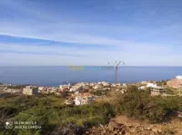 Vente Terrain El taref El kala