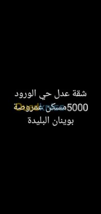 البليدة-بوينان-الجزائر-شقة-byaa-shk-4-ghrf-alblyd-boynan