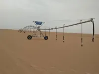 Location Terrain Agricole Ouargla Ouargla