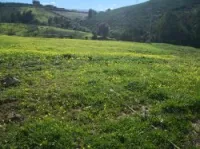Vente Terrain Boumerdes Ouled moussa