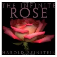 The Infinite Rose