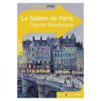 Le Spleen de Paris