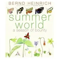 Summer World: A Season of Bounty