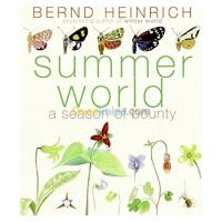 الجزائر-درارية-كتب-و-مجلات-summer-world-a-season-of-bounty