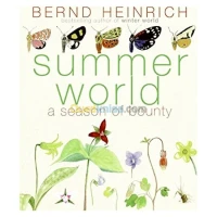 Summer World: A Season of Bounty