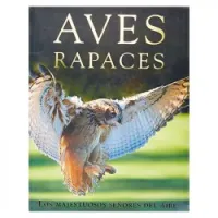 Aves Rapaces. Los majestuosos senores del aire