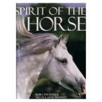 Spirit Of The Horse