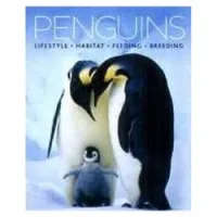 Penguins: Lifestyle - Habitat - Feeding - Behavior