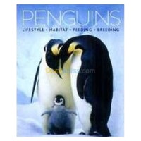 الجزائر-درارية-كتب-و-مجلات-penguins-lifestyle-habitat-feeding-behavior