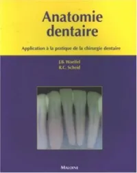 Anatomie Dentaire application à la pratique de la chirurgie dentaire