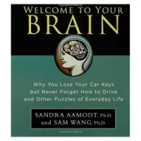 Welcome to Your Brain: Why You lose Your Car Keys but Never Forget How to Drive and Other Puzzles of Everday Life