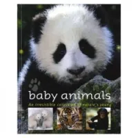 Baby Animals: An Irresistible Collection of Nature's Young