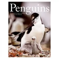 Penguins