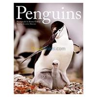 الجزائر-درارية-كتب-و-مجلات-penguins