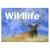 Rocky Mountain National Park Wildlife Postcard