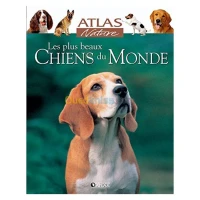 Les Plus beaux chiens du monde