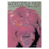 alger-draria-algerie-livres-magazines-monkeys-apes-a-portrait-of-the-animal-world