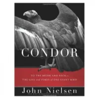 Condor: To the Brink and Back--The Life and Times of One Giant Bird