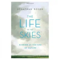 The Life of the Skies
