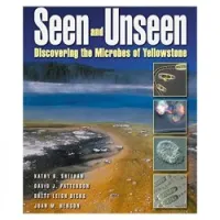 Seen and Unseen: Discovering The Microbes of Yellowstone
