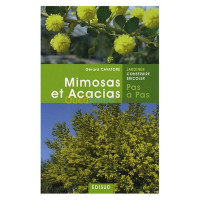 alger-draria-algerie-livres-magazines-mimosas-et-acacias-pas-à