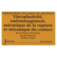 Viscoplasticité, endommagement, mécanique de la rupture et mécanique du contact