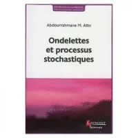 Ondelettes et processus stochastiques