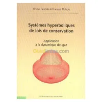 Systemes Hyperboliques De Lois De Conservation Application A La Dynamique Des Gaz