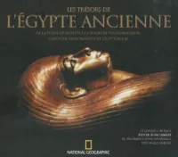 Les trésors de l'Egypte ancienne : De la pierre de Rosette à la tombe de Toutankhamon, l'histoire passionnante de l'égyptologie