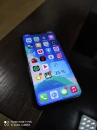 Apple iPhone X