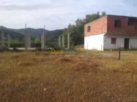 Vente Terrain Jijel El ancer