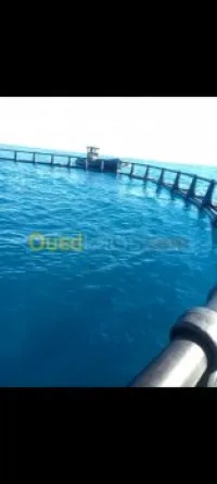 Réalisation des cage élevage sur mer