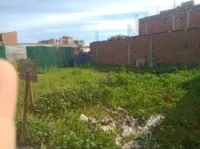 Location Terrain Alger Douera