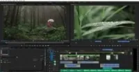 montage de vidéo professionnel