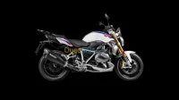 Akrapovic BMW R1250 R/RS