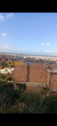 البليدة-بوقرة-الجزائر-أرض-byaa-ard-alblyd-bokr