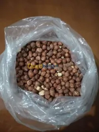 Noisettes (البندق)