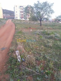 تلمسان-ندرومة-الجزائر-أرض-byaa-ard-tlmsan-ndrom