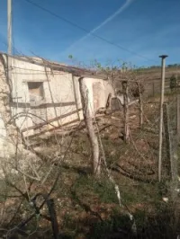 Vente Terrain Tlemcen Bab el assa
