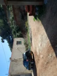 Vente Terrain Tipaza Cherchell