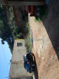 أرض-بيع-تيبازة-شرشال-الجزائر