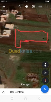 أرض-بيع-تلمسان-غزوات-الجزائر