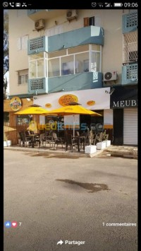 الجزائر-حيدرة-ديكورات-و-ترتيب-fabrication-parasols